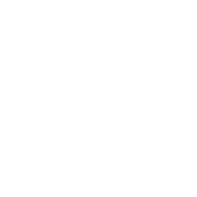 Megaphone icon